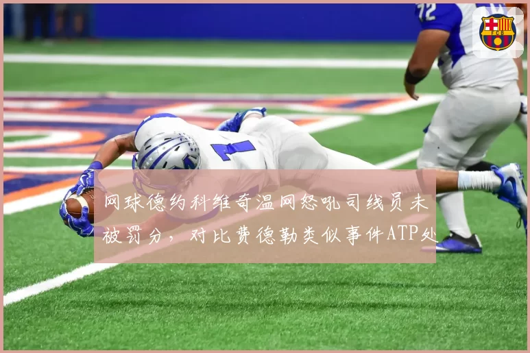 网球德约科维奇温网怒吼司线员未被罚分，对比费德勒类似事件ATP处罚标准遭批__br_